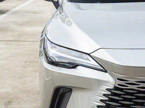 2026�� 300 ����������