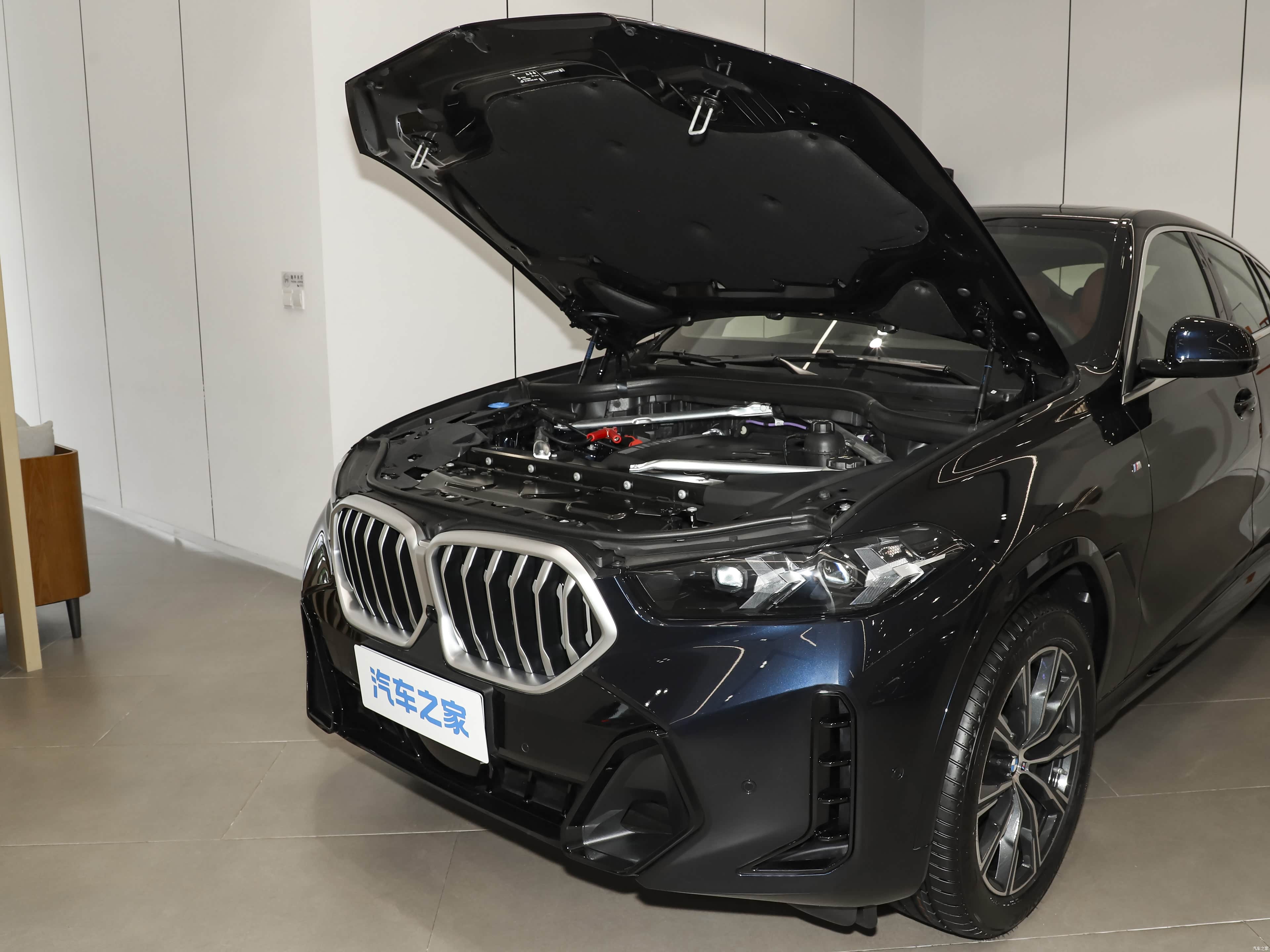 BMW X6, миниатюра 28