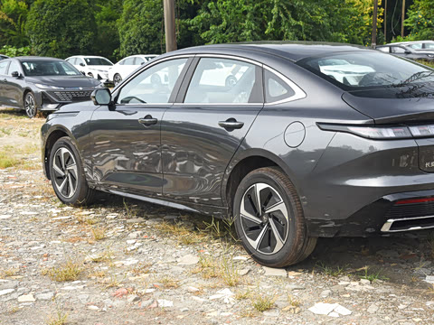 2026�� 1.5L �������� ������