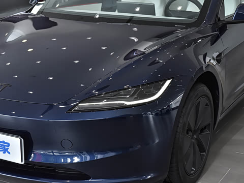 2025�� �Ŀ� ����������