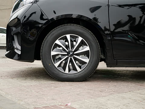 2026�� 2.0L �ֶ����ᾫӢ�� 9�� CNG