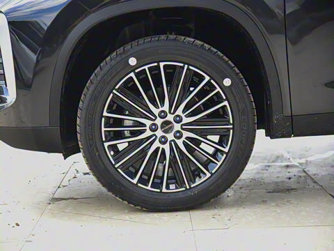 2025�� 300T ������ҹ��