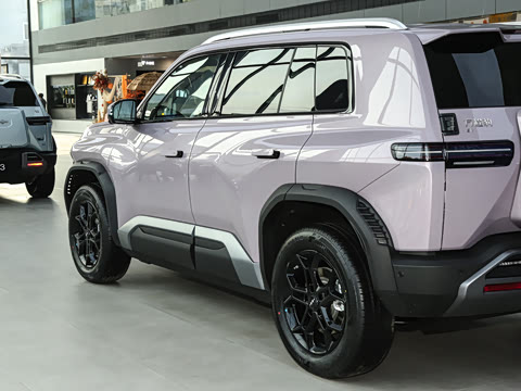 2025�� 501KM ����Max��