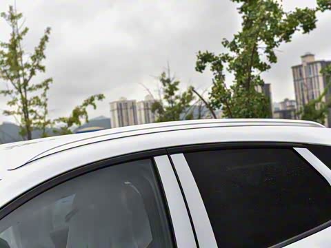 2025�� DM-i 121�캽��