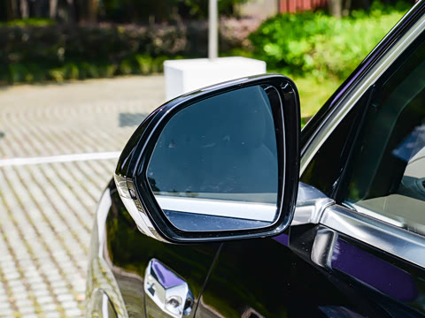 2025�� ���� Max+ ������������ 