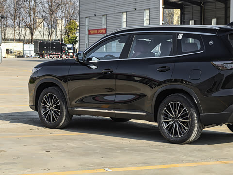 2026�� 290TGDI DCT������ 5��