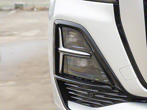 2026�� 2.0T ��������Pro��