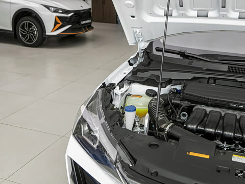 2025�� 1.5L ׿Խ��