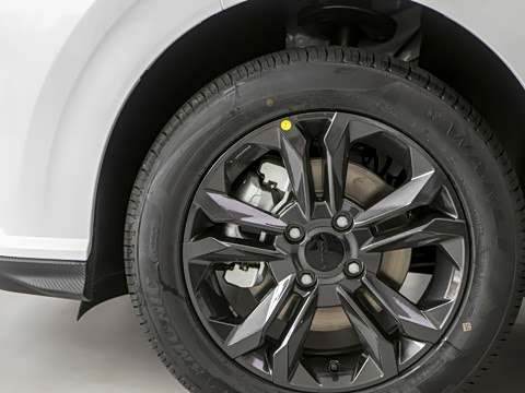 2025�� 1.5L ׿Խ��