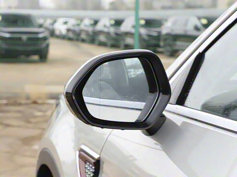 2026�� 2.0T ��������Pro��