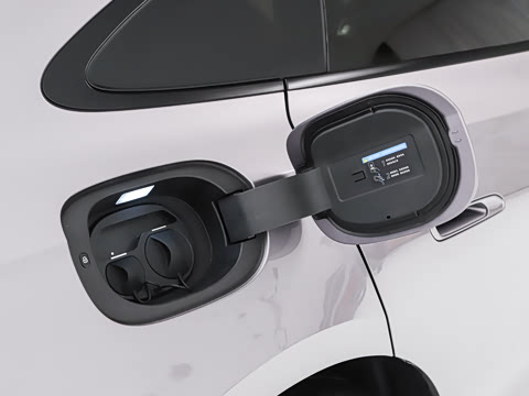 2026�� Z9S �����