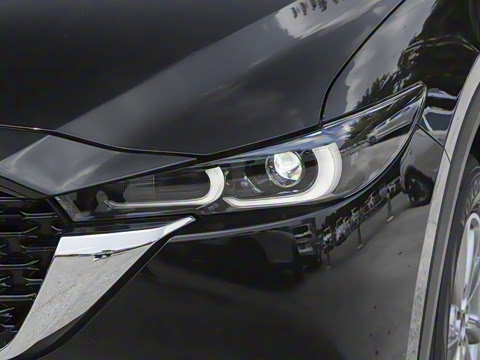 2025�� 2.0L �Զ�����������