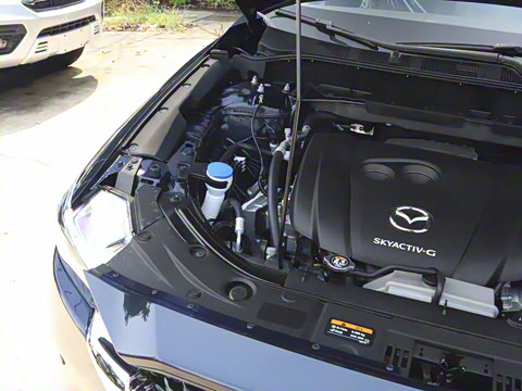 2025�� 2.0L �Զ���������Pro