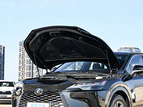 2026�� 300 ����������