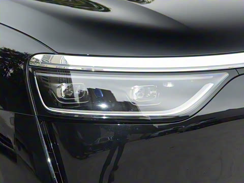 2025�� ���� Max+ ������������ 