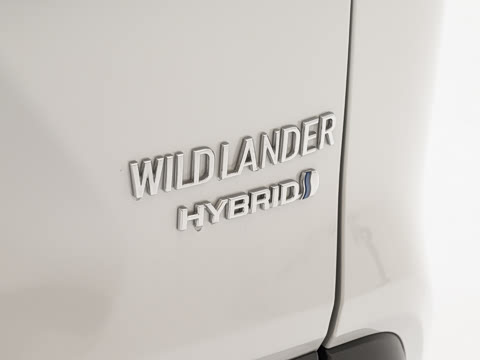 2024�� ˫�� 2.5L E-CVT��������