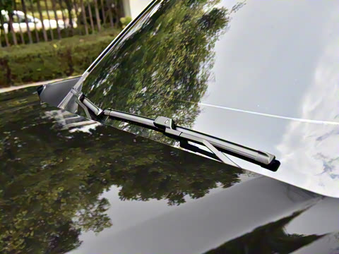 2025�� ͨ�հ�