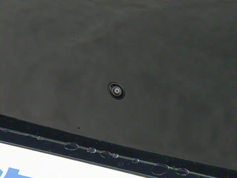 2026�� ���� Max�������� 5��