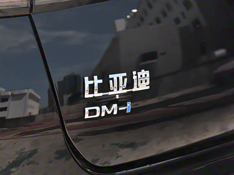 2025�� �Ǽݰ� DM-i 1.5L 125km �����