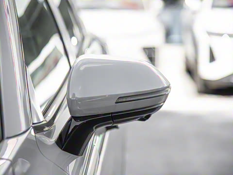 2025�� 100������Plus����