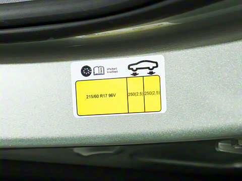 2025�� 565km �����