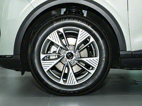 2025�� 565km �����