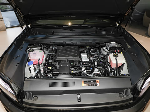 2026�� ī�����̰�