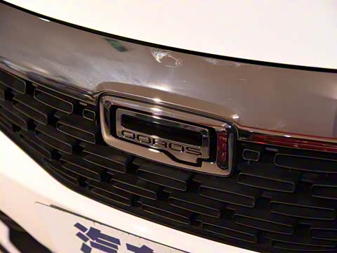 2016�� ����SUV 1.6T �ֶ�������