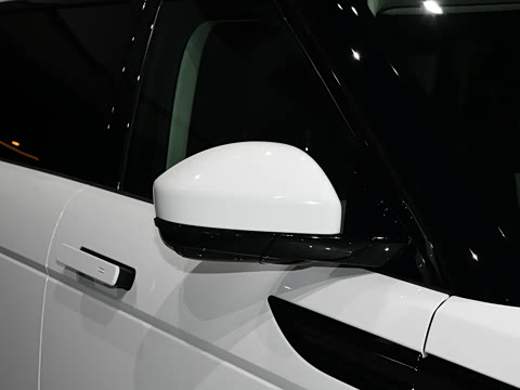 2021�� ����L P300e ������