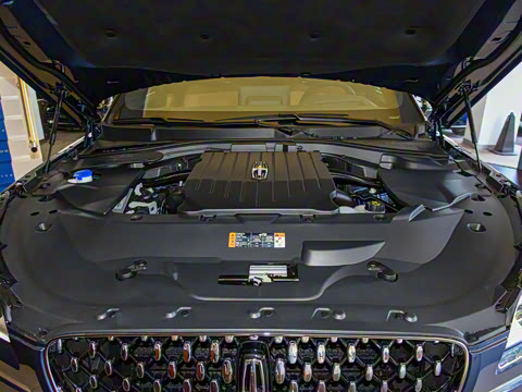 2021�� 3.0T V6 ������ͳ��