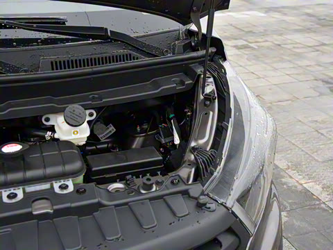 2021�� 2.0L �ͳ�����ʨ 5��