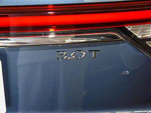 2021�� 3.0T V6 ������ͳ��