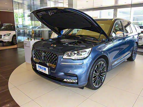 2021�� 3.0T V6 ������ͳ��