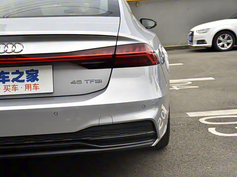 2021�� 45 TFSI ��ѡ��