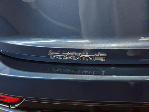 2021�� 3.0T V6 ������ͳ��