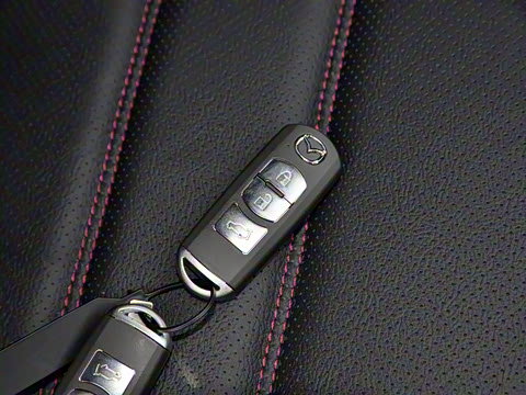 2021�� 2.5L �Զ���������ʿ