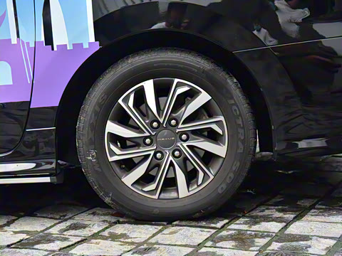 2021�� PLUS ����ʿ��