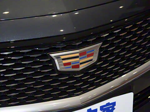 2021�� �Ŀ� 28T ������