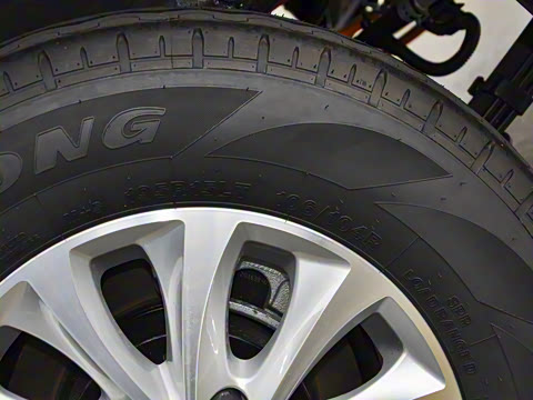 2021�� ���˰� ������ 7��