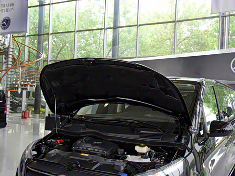 2021�� 2.0T ��Ӣ�� 7��