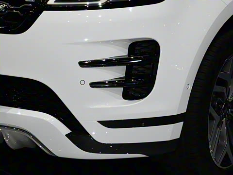 2021�� ����L P300e ������