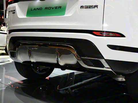 2021�� ����L P300e ������