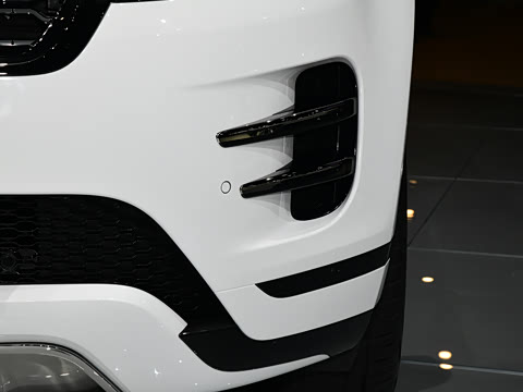 2021�� ����L P300e ������