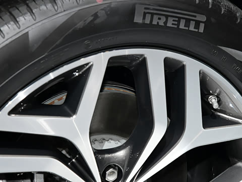 2021�� ����L P300e ������