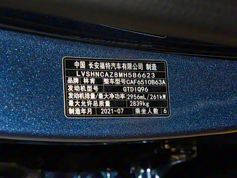 2021�� 3.0T V6 ������ͳ��