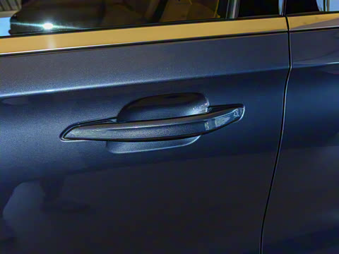 2021�� 3.0T V6 ������ͳ��