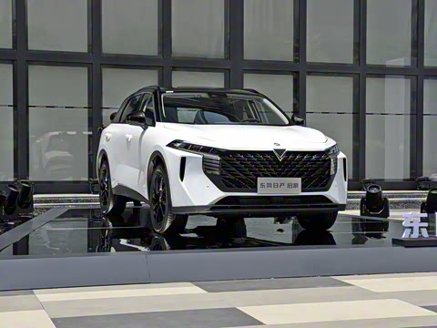 2021�� 260T ������