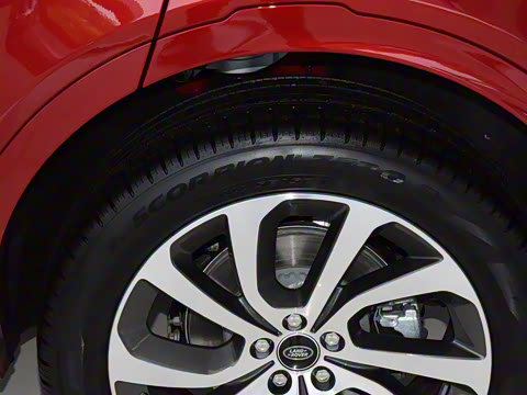 2021�� 249PS R-Dynamic HSE �������ư�