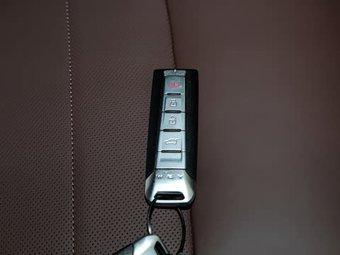 2020�� PHEV 2.0T �콢��