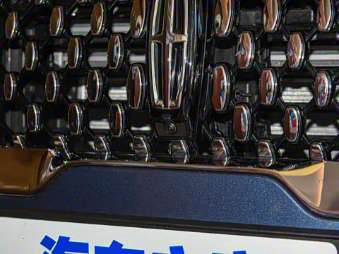 2021�� 3.0T V6 ������ͳ��